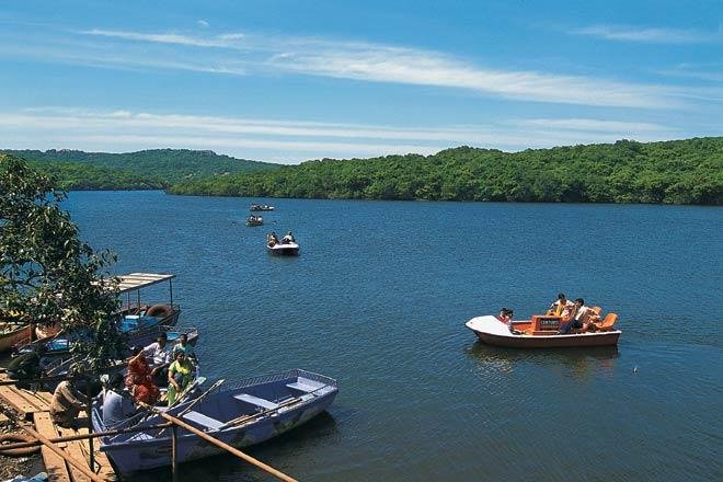 Dandeli