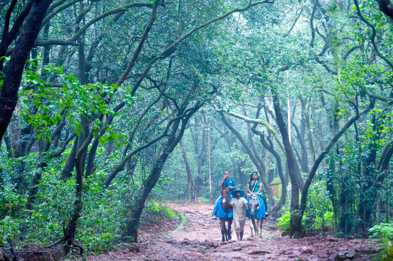 Panchgani