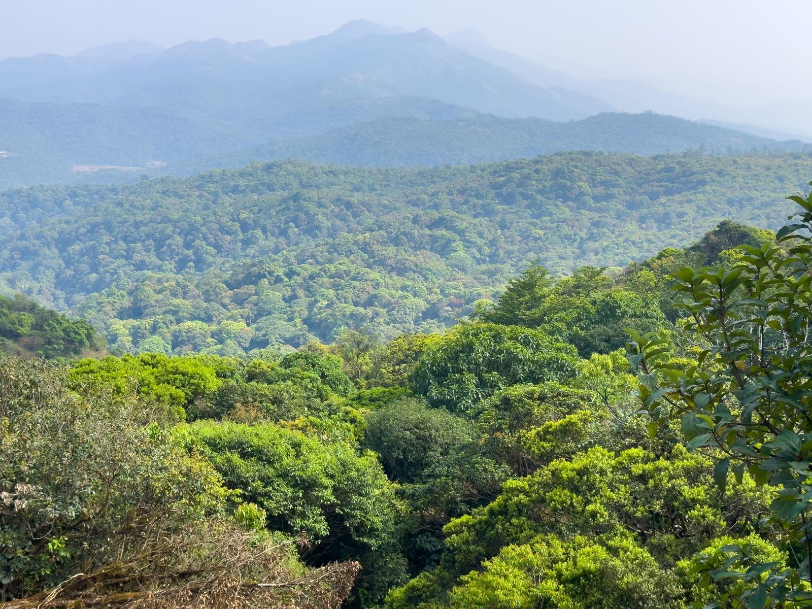 Kudremukh