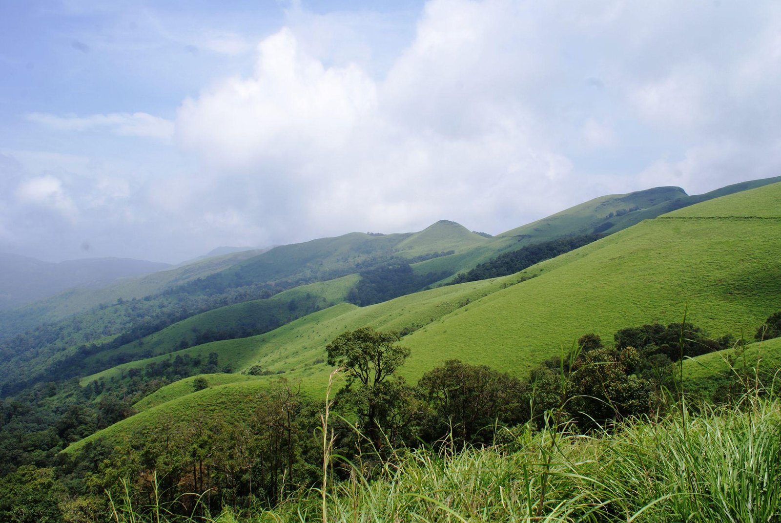 Agumbe