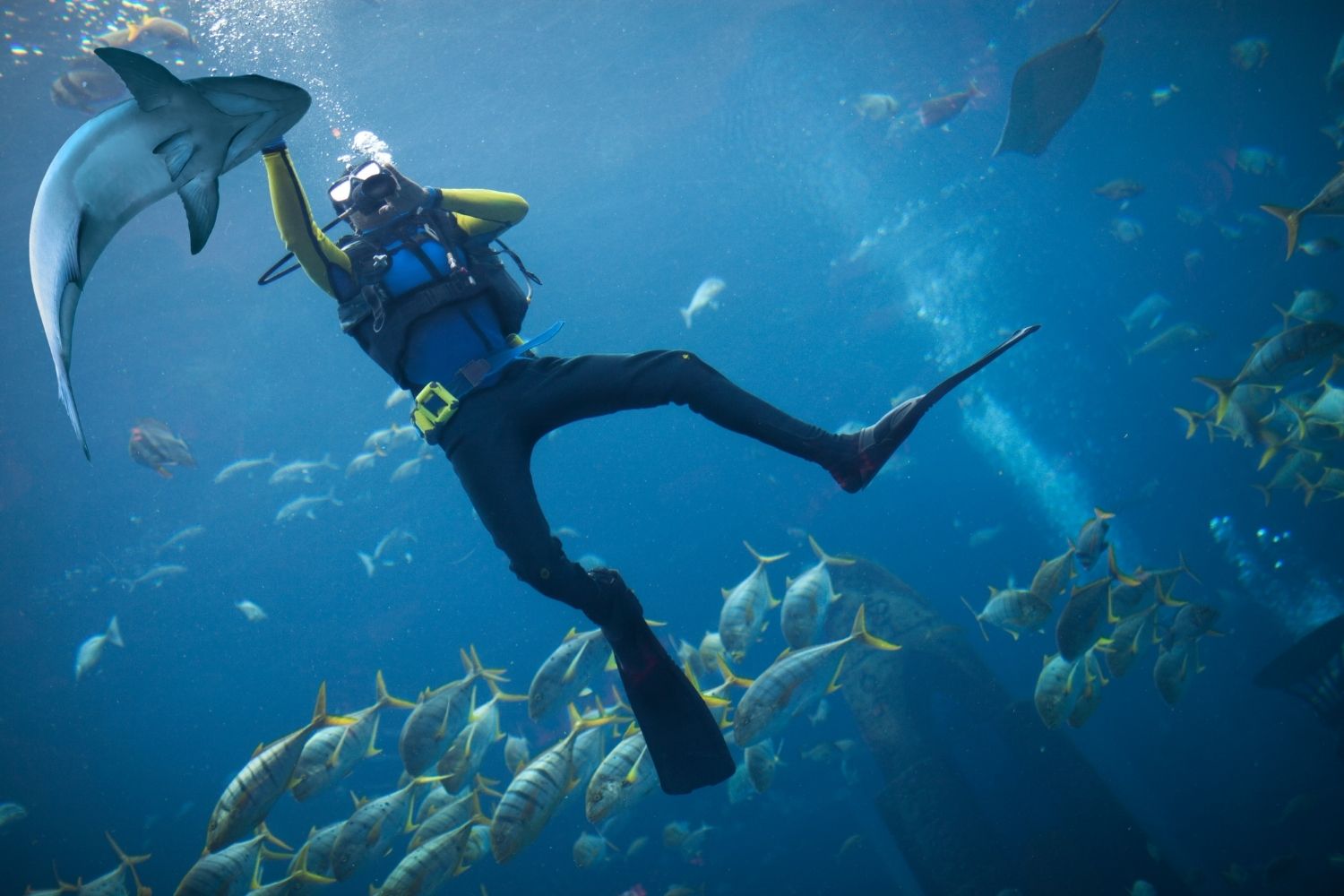 Scuba diving at Grand Island Goa packages