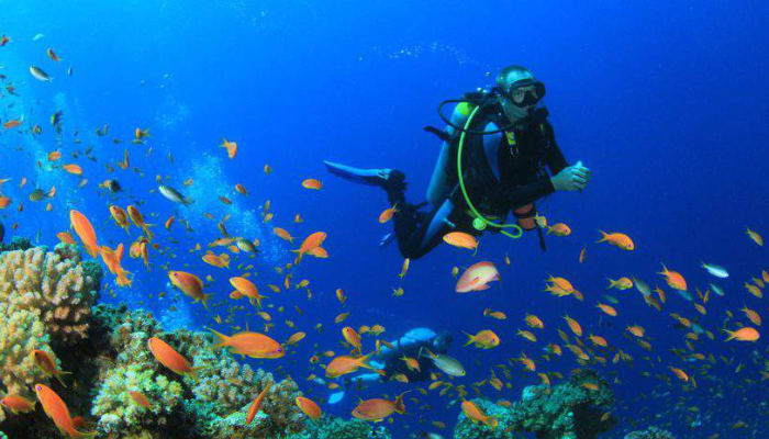 Scuba diving in Goa underwater